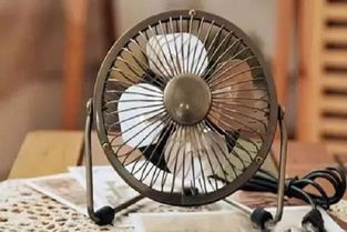 40度高溫下，中國電風扇賣爆歐洲 成了歐洲人的“續命神器”