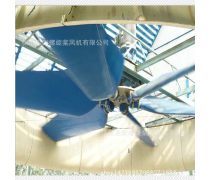 清風徐來 電風扇的演進、技術與選購指南
